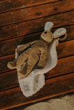 Knuffel floppy konijn - Small - Beige - Senger Naturwelt