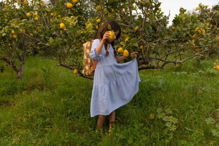 Sokken - Farmhouse Pear - Sticky Lemon
