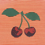 Zwemvest - Glitter Stripe