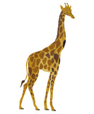 Muursticker giraf 50×96cm - That's Mine