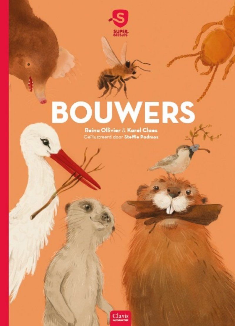 Prentenboek Superbeesjes. Bouwers - Reina Ollivier en Karel Claes - Clavis